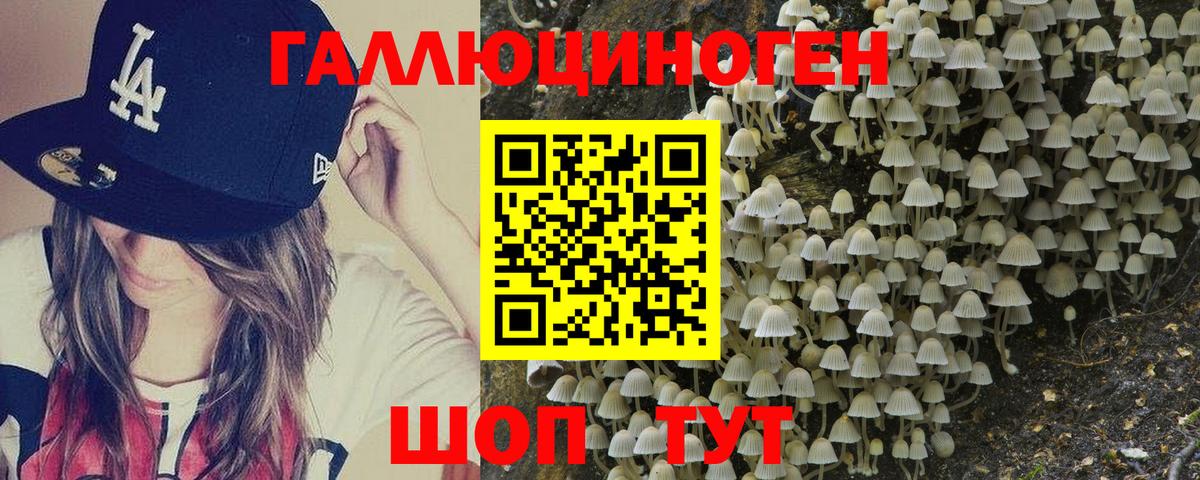 Псилоцибиновые грибы MAGIC MUSHROOMS  Вход с VPN  Гусиноозёрск  Галлюциногенные грибы Cubensis 